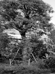 古塔注册公司